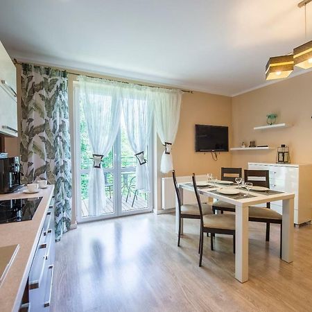 Apartament Brzozowy Zakatek - 5D Apartamenty Swieradow-Zdroj Exterior foto